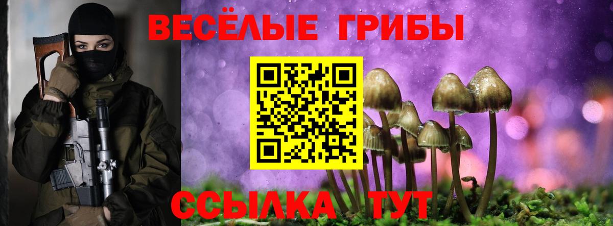 Псилоцибиновые грибы GOLDEN TEACHER Берёзовский