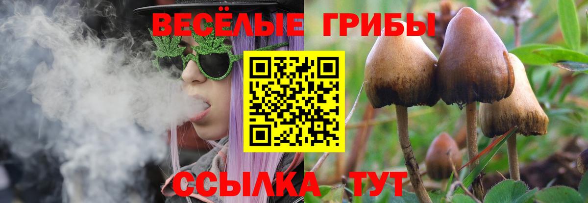 Псилоцибиновые грибы Cubensis  Вход с VPN  Берёзовский 